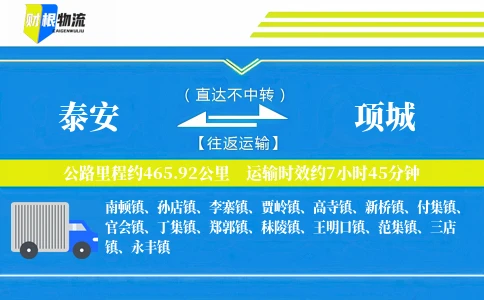 泰安到项城物流公司