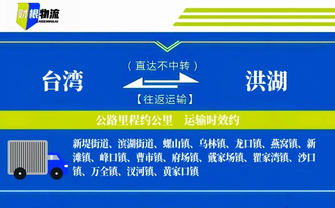 台湾到洪湖物流公司
