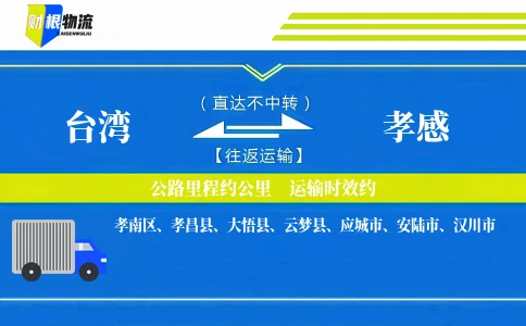 台湾到孝感物流公司
