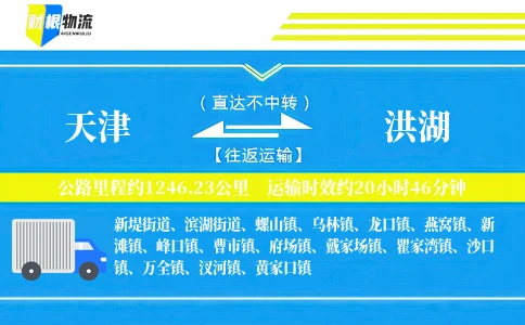 天津到洪湖物流公司
