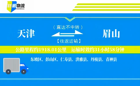 天津到眉山物流公司