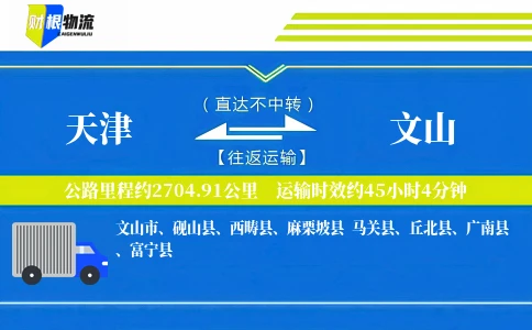 天津到文山物流公司