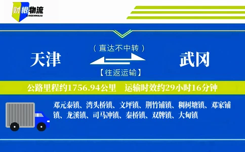 天津到武冈物流公司