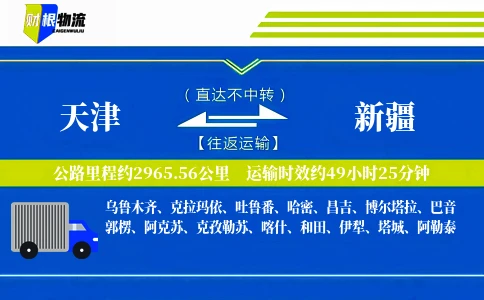 天津到新疆物流公司