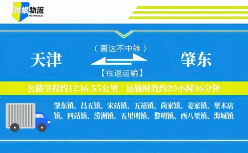 天津到肇东物流公司