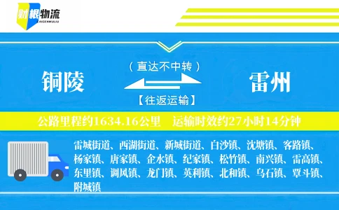 铜陵到雷州物流公司