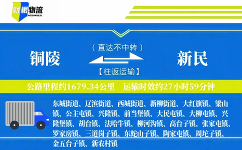 铜陵到新民物流公司