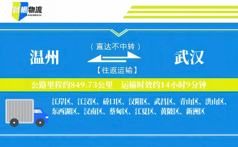 温州到武汉物流公司