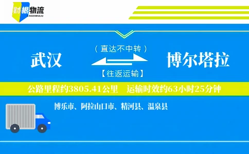 武汉到博尔塔拉物流公司