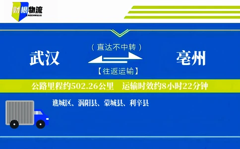 武汉到亳州物流公司