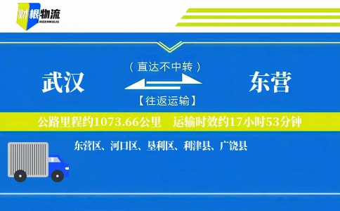 武汉到东营物流公司
