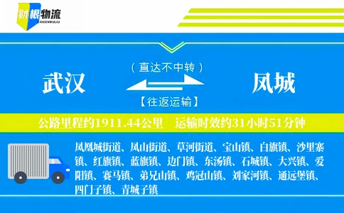 武汉到凤城物流公司