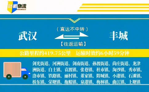 武汉到丰城物流公司