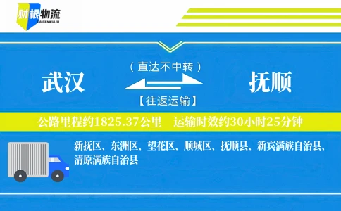 武汉到抚顺物流公司