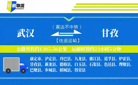 武汉到甘孜物流公司