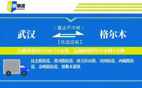 武汉到格尔木物流公司