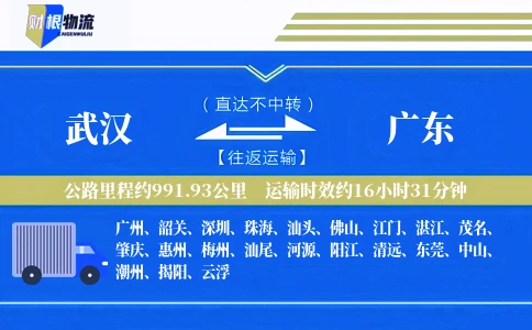 武汉到广东物流公司