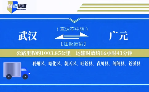 武汉到广元物流公司