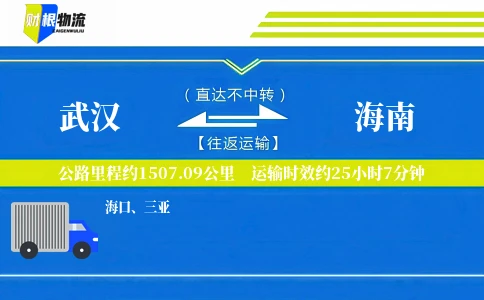 武汉到海南物流公司