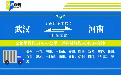 武汉到河南物流公司