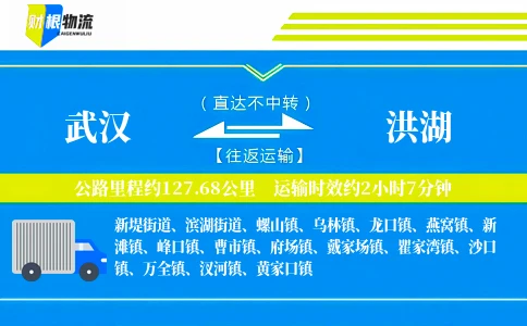 武汉到洪湖物流公司
