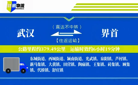 武汉到界首物流公司