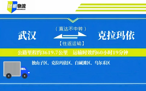 武汉到克拉玛依物流公司