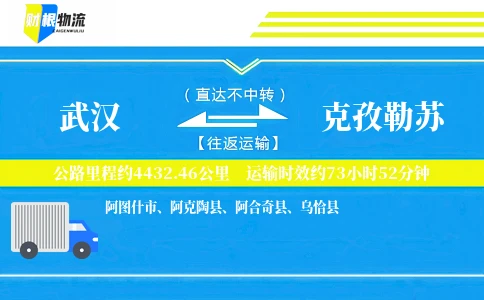 武汉到克孜勒苏物流公司