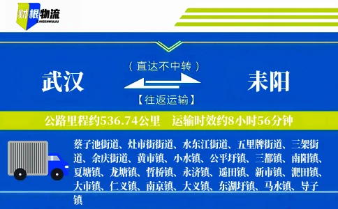 武汉到耒阳物流公司