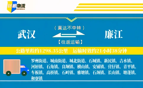 武汉到廉江物流公司