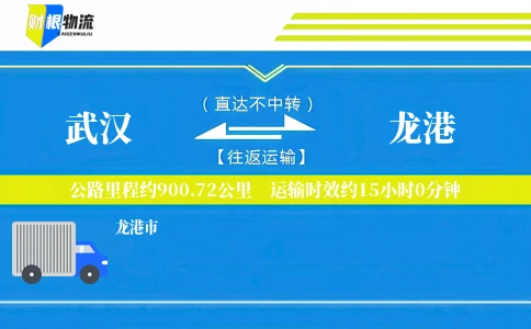 武汉到龙港物流公司