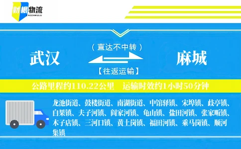武汉到麻城物流公司