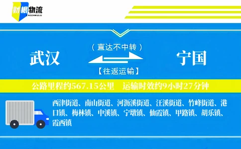 武汉到宁国物流公司