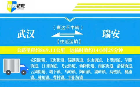 武汉到瑞安物流公司