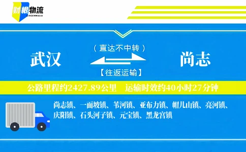 武汉到尚志物流公司