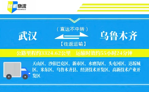 武汉到乌鲁木齐物流公司