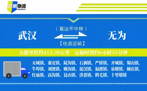 武汉到无为物流公司