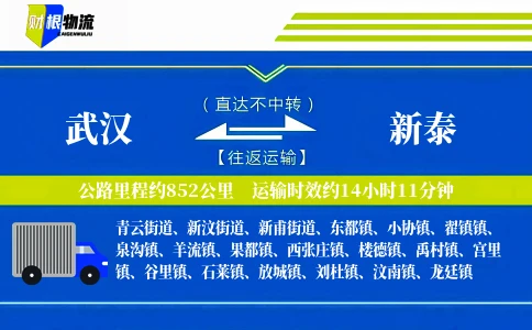 武汉到新泰物流公司