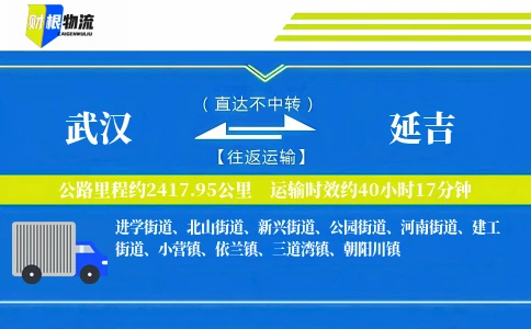 武汉到延吉物流公司