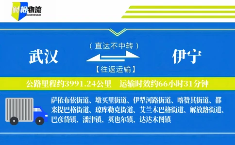 武汉到伊宁物流公司