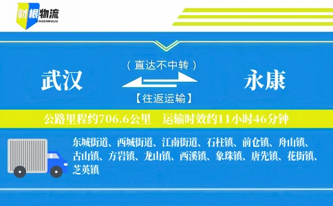武汉到永康物流公司