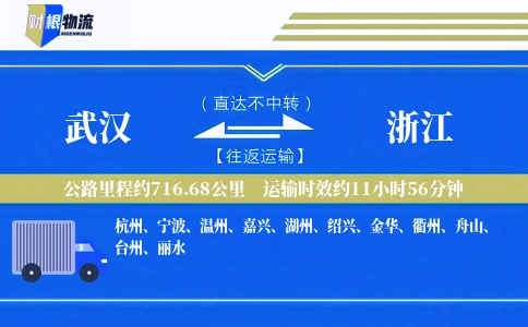 武汉到浙江物流公司