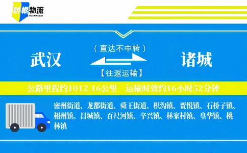 武汉到诸城物流公司