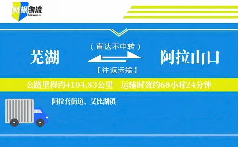 芜湖到阿拉山口物流公司