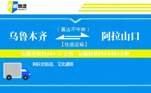 乌鲁木齐到阿拉山口物流公司