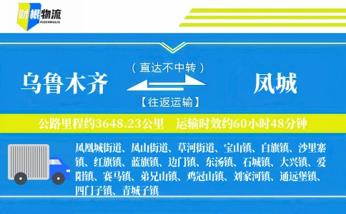 乌鲁木齐到凤城物流公司