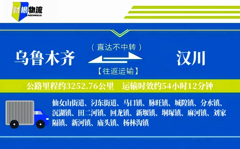 乌鲁木齐到汉川物流公司