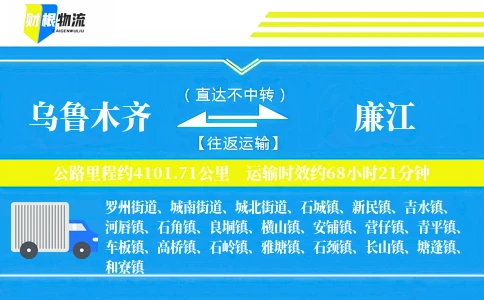 乌鲁木齐到廉江物流公司