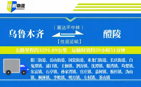 乌鲁木齐到醴陵物流公司
