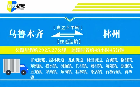 乌鲁木齐到林州物流公司